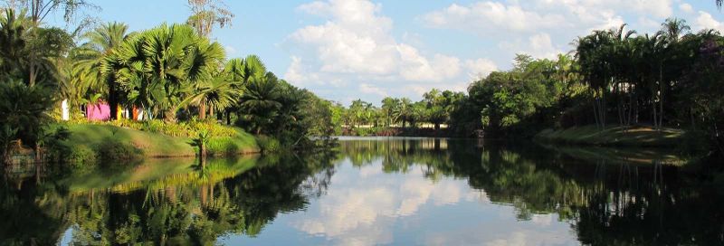 Billet Excursion à l'Institut Inhotim