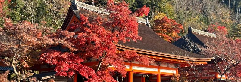 Billet Visite privée du palais impérial de Kyoto et du château de Nijo