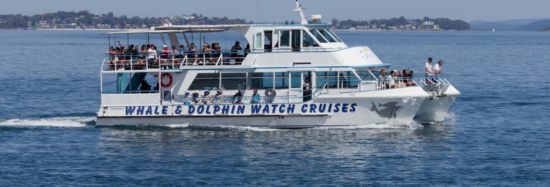 Billet Excursion à Port Stephens + observation de dauphins
