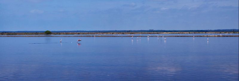 Billet Balade en bateau à Muelle de las Carabelas