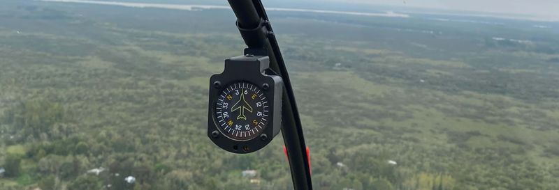Billet Excursion privée en hélicoptère sur l'île Martín García