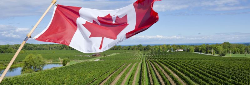 Billet Excursion à Niagara-on-the-Lake + Chocolaterie et caves à vin