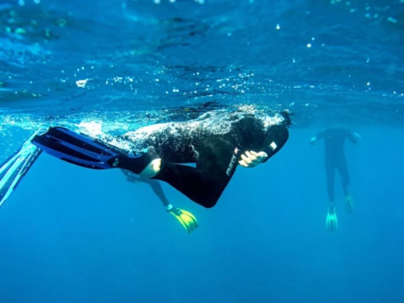 Billet Snorkeling sur barrière de corail de la Réunion depuis Saint-Leu