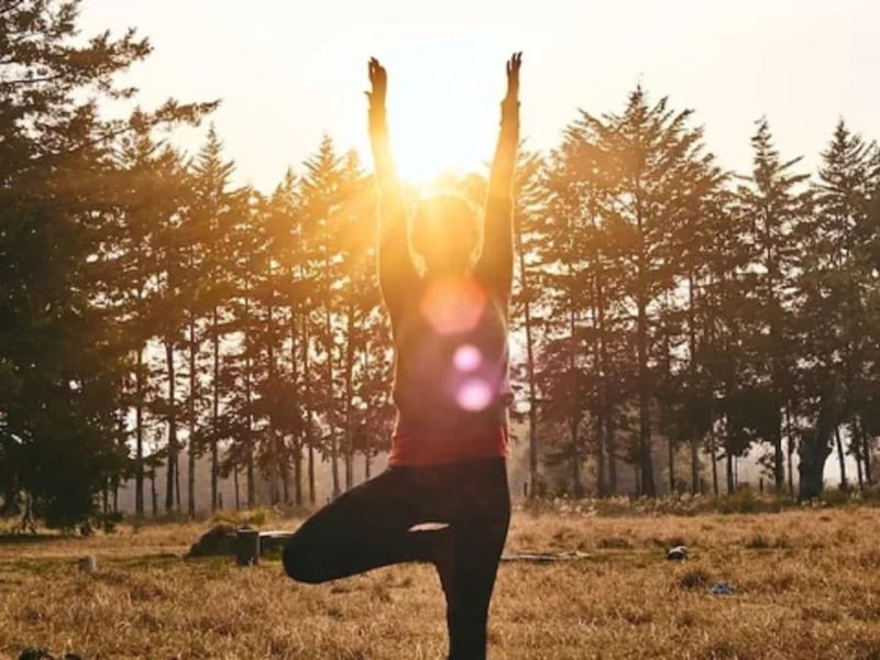 Billet Journée ayurvédique & yoga à Blain (44)