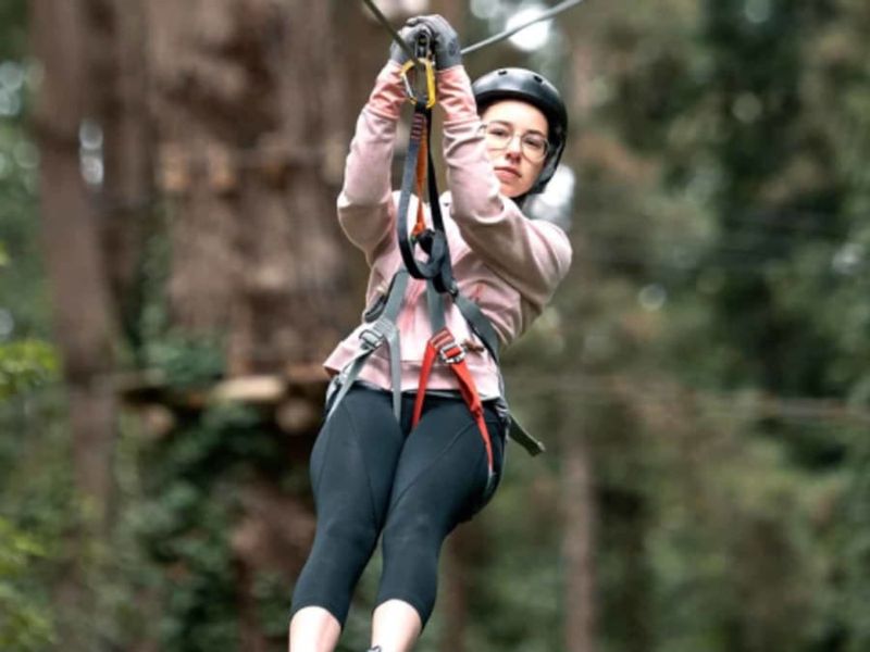 Billet Parc Accrobranche à Sarzeau (56)