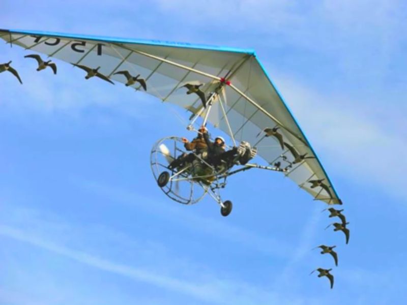 Billet Vol en ULM avec des oiseaux migrateurs (15)