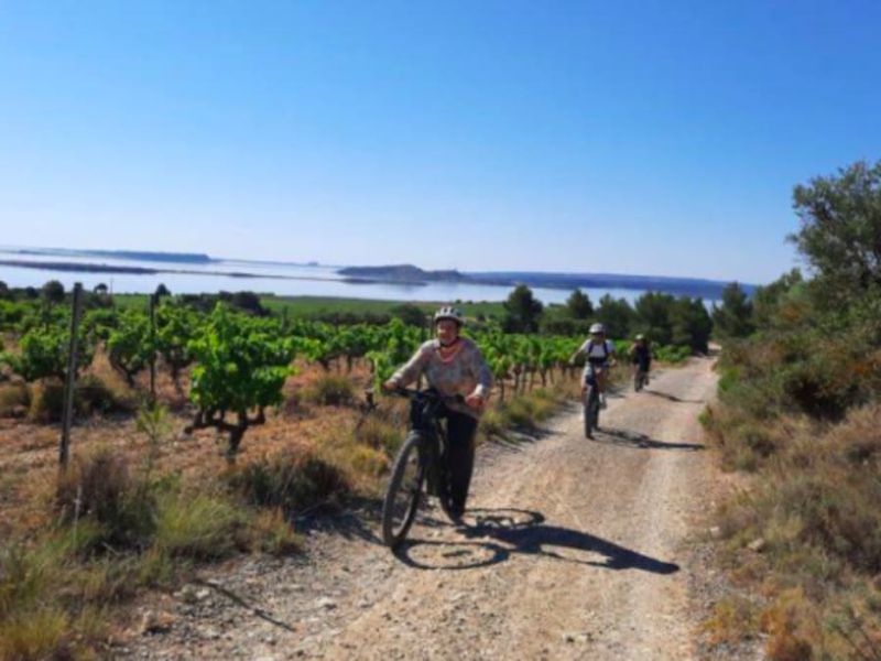 Billet Randonnée à VTT électrique à Peyriac-de-Mer (11)