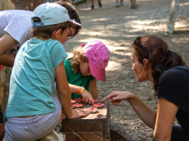 Billet Jeu de piste à Sarzeau (56)