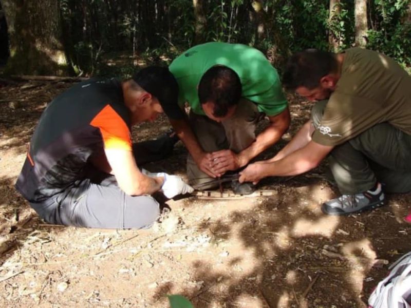 Billet Stage de survie en milieu forestier proche de Bordeaux (40)