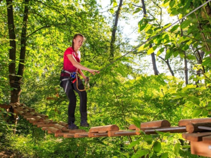 Billet Parc Accrobranche à Bièvres (91)