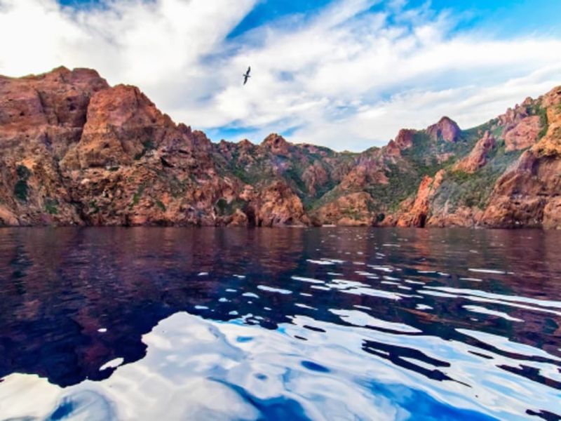 Billet Découverte de la réserve de Scandola et Piana en bateau (20)