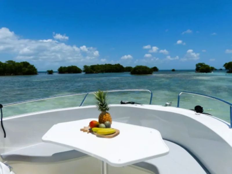 Billet Croisière côtiere avec skipper depuis Port-Louis (97)