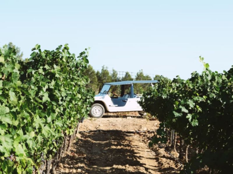 Billet Visite et dégustations de vin à Bandol (83)