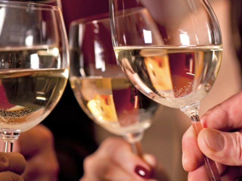 Billet Oenologie, les bases de la dégustation à Bordeaux (33)