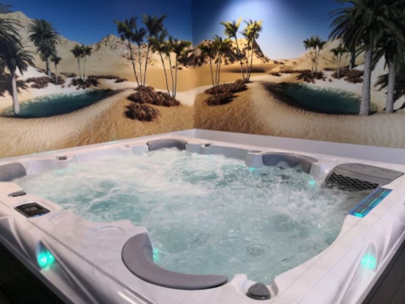 Billet Nantes day SPA à Nantes (44)