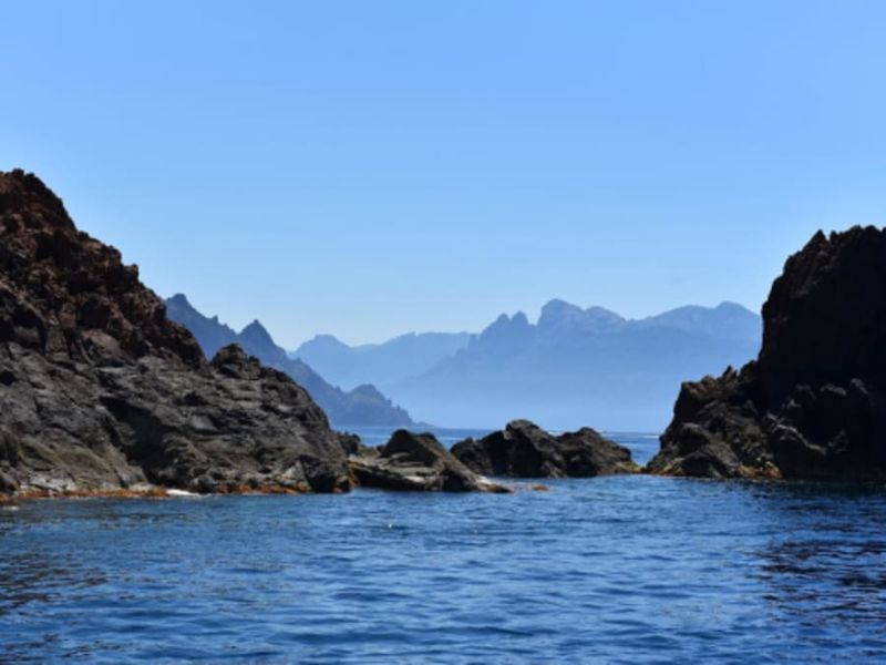 Billet Croisière en bateau semi rigide dans la Réserve de Scandola (20)