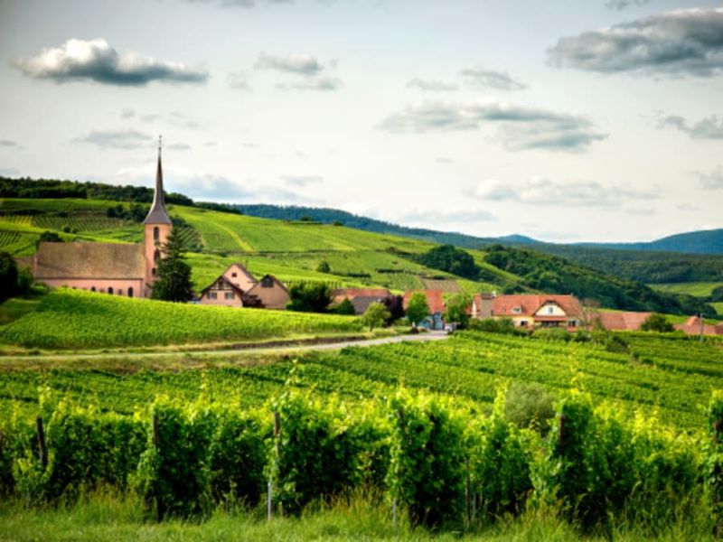 Billet Rallye en autonomie sur la Route des Vins d’Alsace