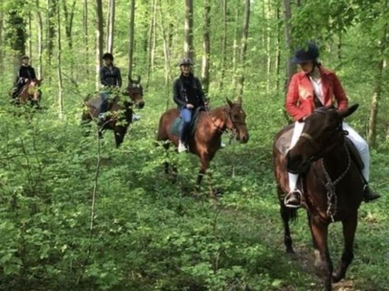 Billet Balade à cheval en forêt de Chantilly (60)