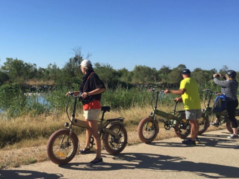 Billet Safari commenté à VTT électrique depuis Aigues-Mortes (30)