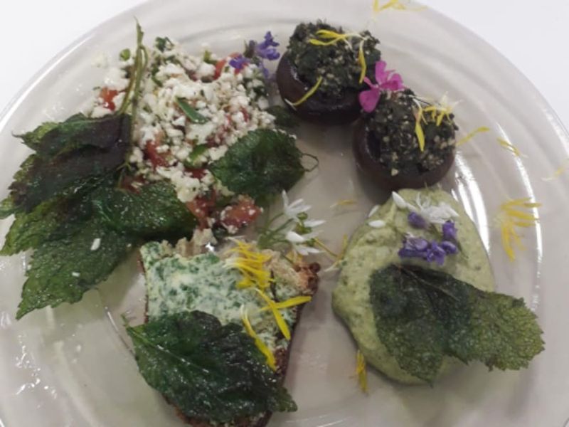Billet Cours de cuisine végétarienne aux plantes sauvages (67)