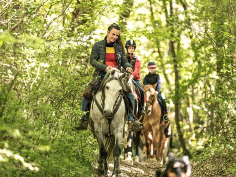 Billet Balade à cheval à Labretonie (47)