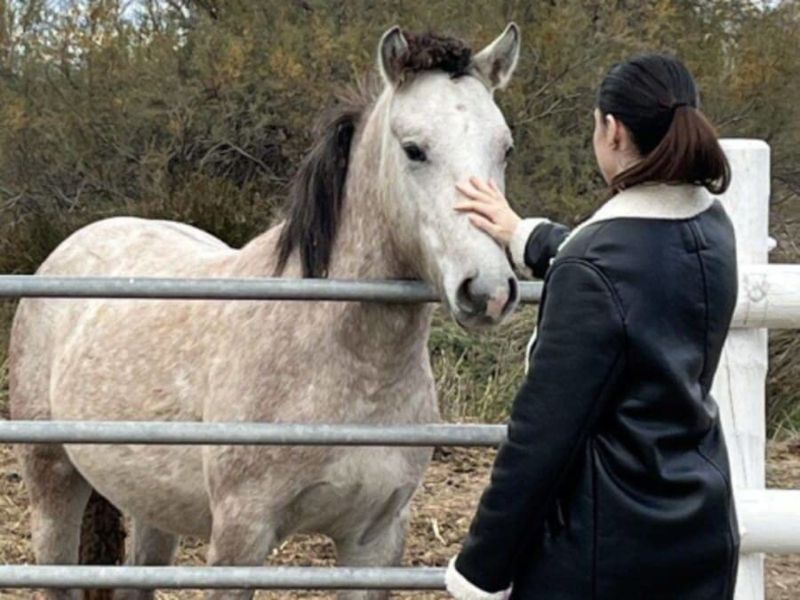 Billet Excursion camargues et dégustation de vins à Aigues-Mortes (30)