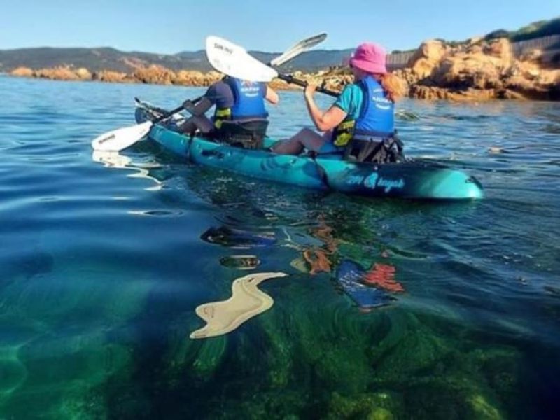 Billet Balade en kayak à Abbartello en Corse (20)