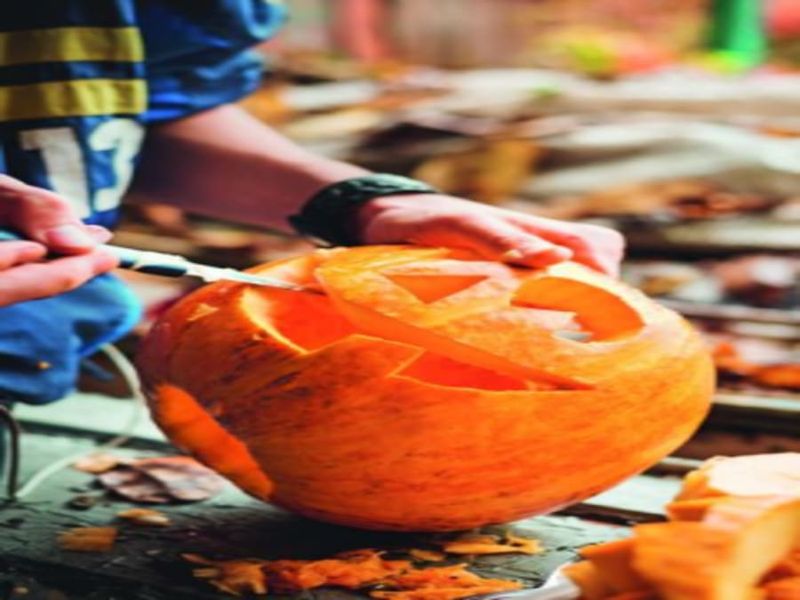 Billet Atelier enfant citrouille Halloween chez Truffaut Nîmes (30)