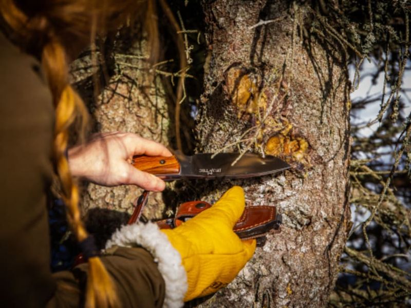 Billet Stage de survie avancé 3 jours près de Fontainebleau (77)