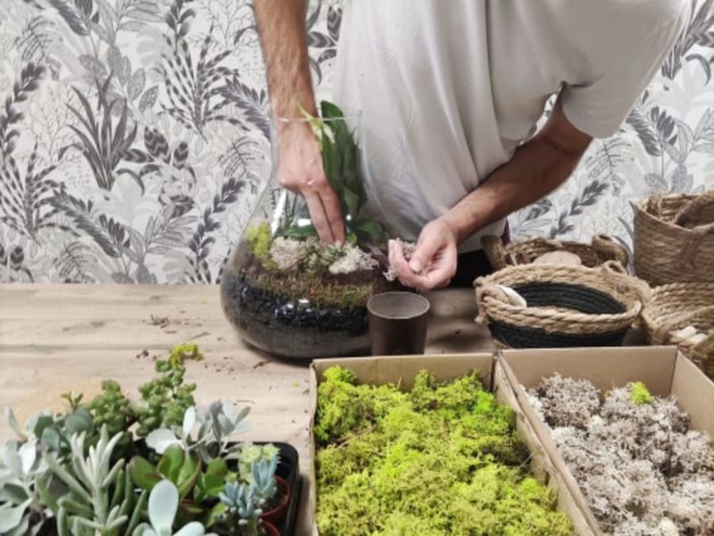 Billet Atelier terrarium à Wasquehal (59)
