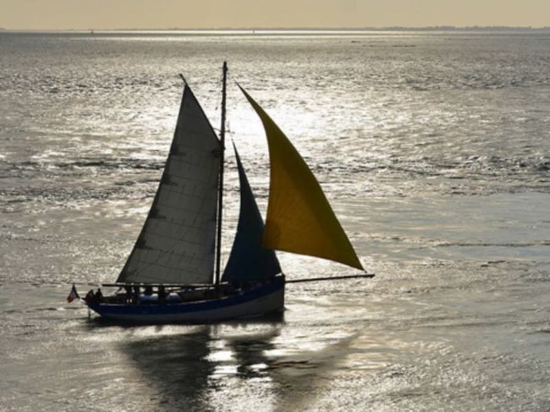 Billet Croisière en voilier et apéritif dans le Golfe du Morbihan (56)