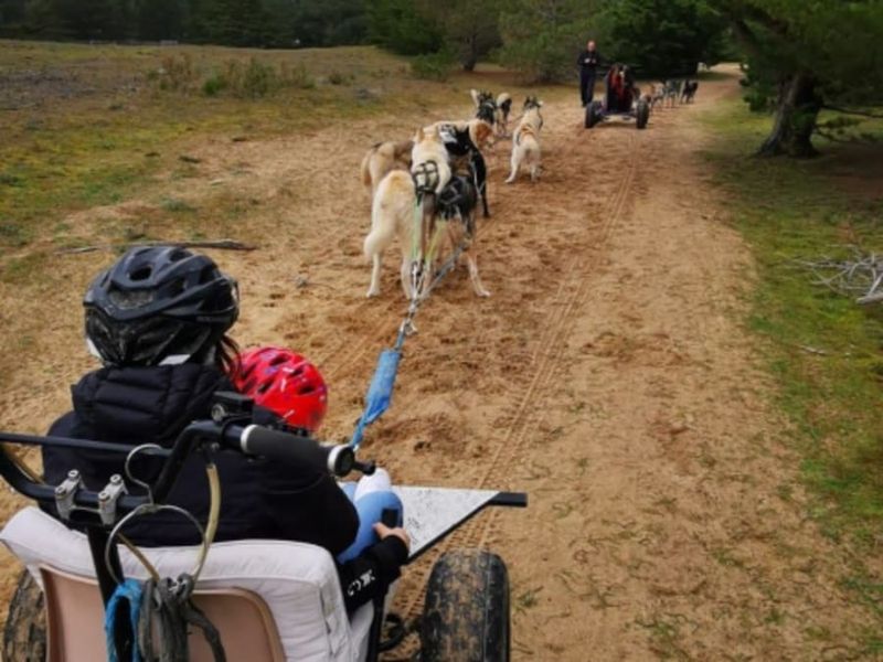 Billet Cani-kart avec des chiens de traîneau à la Ferrière (85)