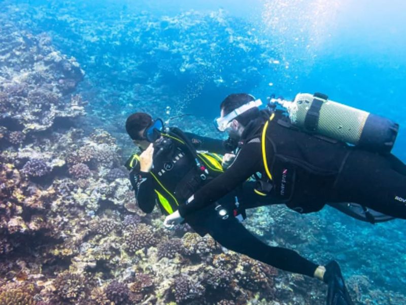 Billet Baptême de plongée depuis Saint-Leu (974)