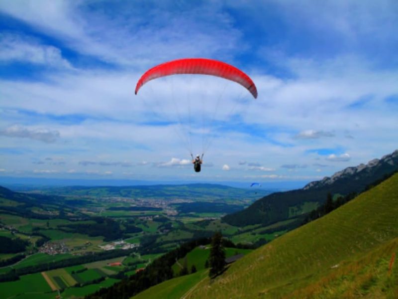 Billet Vol en parapente au-dessus de Gruyères