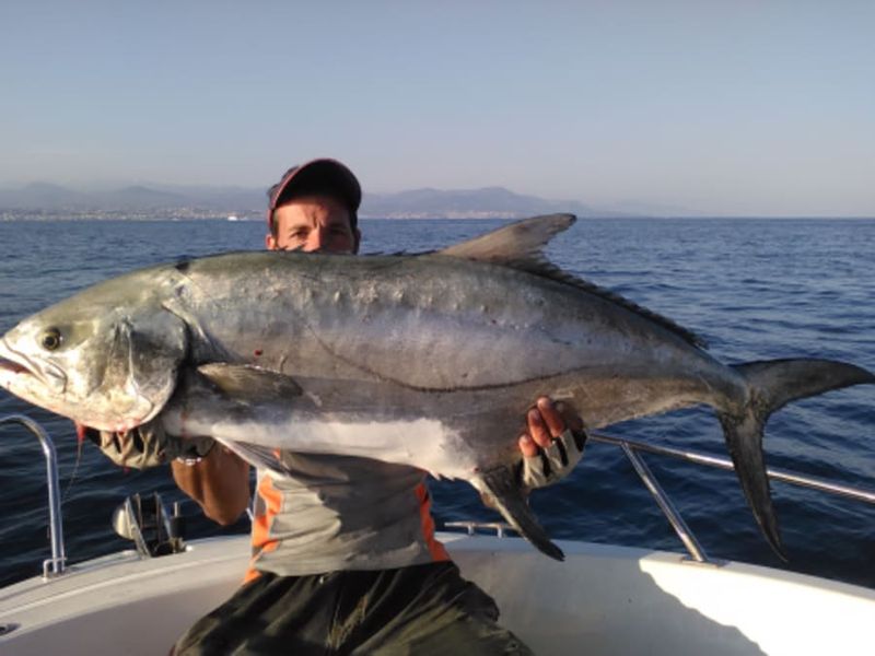 Billet Pêche thon rouge "No Kill" au départ du Golfe-Juan (06)