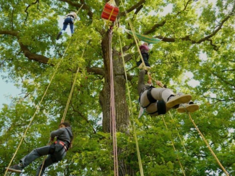 Billet Initiation à la Grimpe d'arbres à l'Etang des Bois (45)