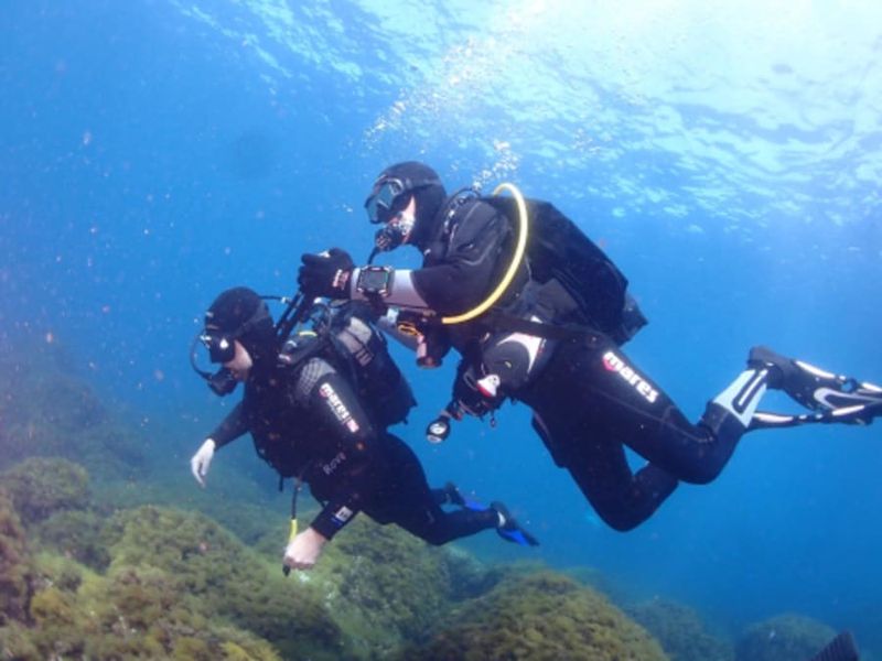 Billet Baptême de plongée sous-marine en bouteille à Calvi (20)
