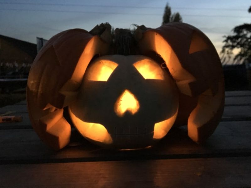 Billet Atelier citrouille d'Halloween à la cueillette de Cergy (95)