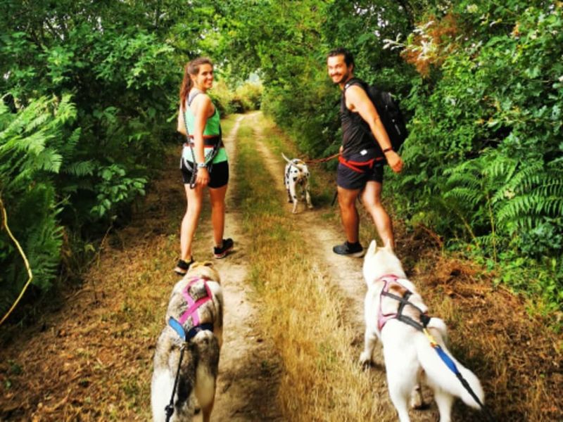 Billet Cani-rando avec des chiens de traîneau à la Ferrière (85)