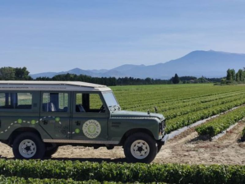 Billet Safari viticole en Land Rover à Sarrians (84)