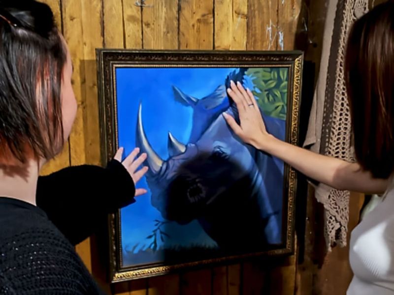 Billet Escape Game "A l'épreuve de la jungle" à Deauville (14)