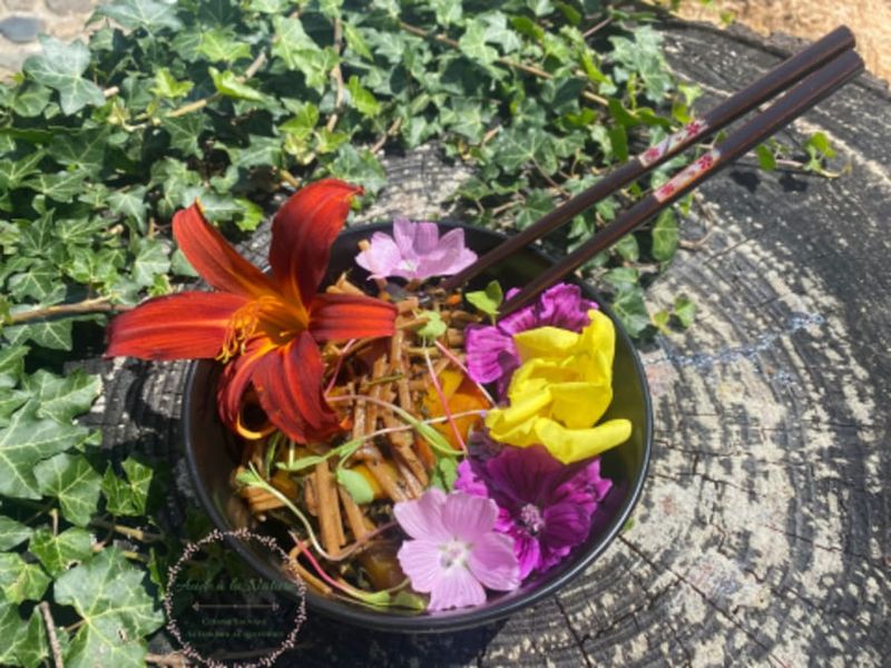 Billet Balade nature & cours de cuisine végétale à Grandfontaine  (67)