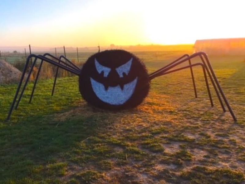 Billet Atelier citrouille Halloween à la Cueillette de Torfou (91)