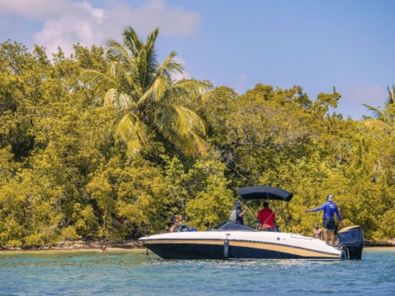 Billet Excursion en bateau à Morne-à-l'Eau (97)
