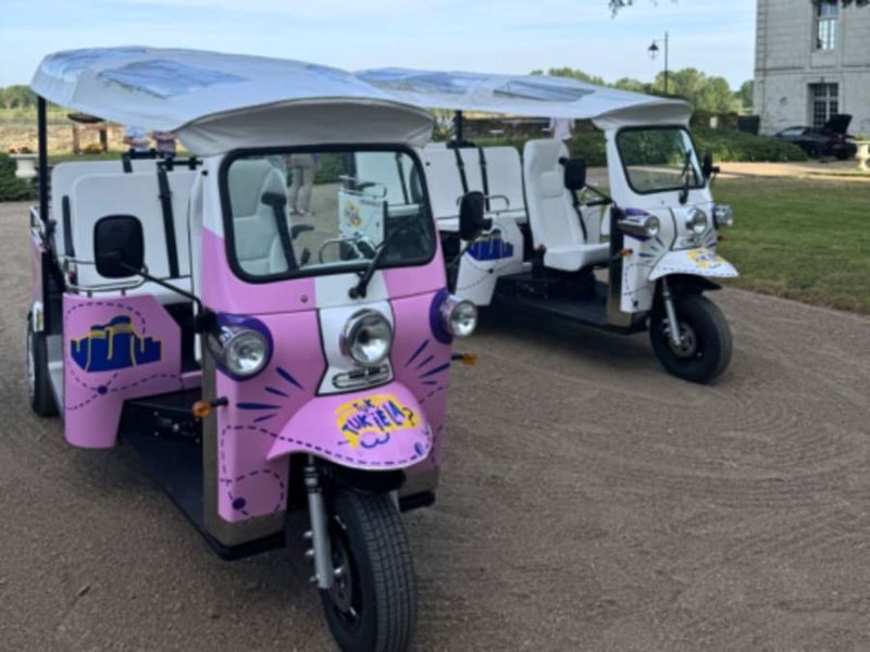 Billet Balade "Trésors de la Loire" en TukTuk à Angers (49)