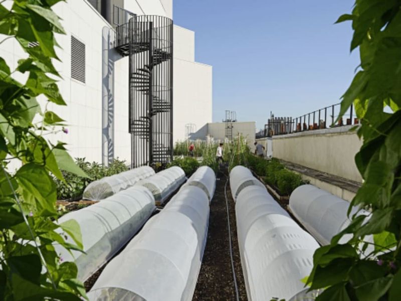 Billet Visite d'une ferme urbaine sur les toits de l'Opéra Bastille