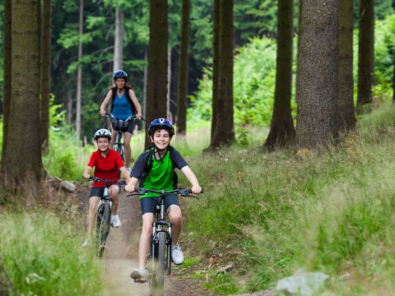 Billet Location de VTT en forêt à Barbaste