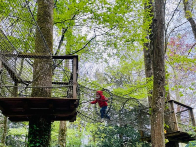 Billet Billet d'entrée au Filo Parc à Longny les Villages (61)