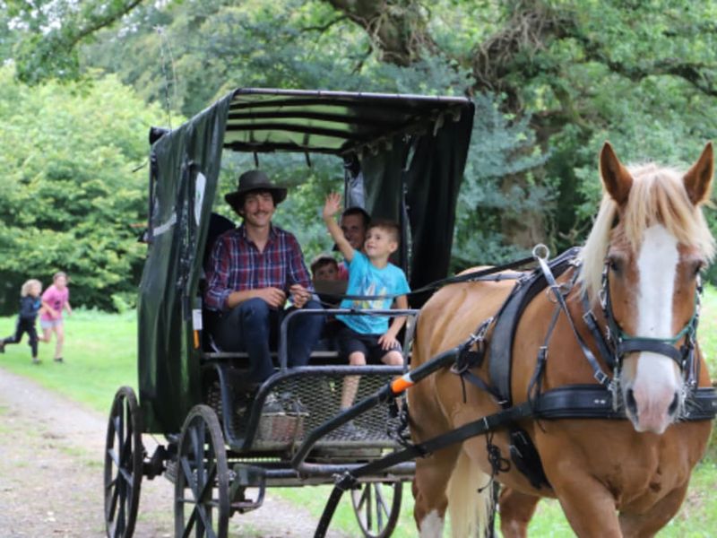Billet Balade en calèche et journée au marché à Callac (22)