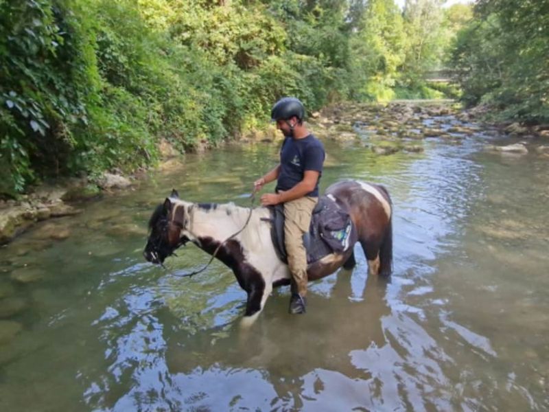 Billet Balade aventure 2h à cheval proche d'Annecy (74)